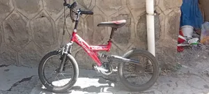 Bicycle for Kids