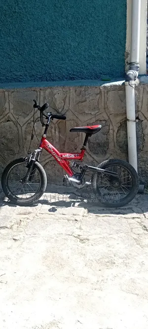 Bicycle for Kids