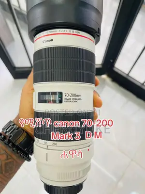 Canon Zebra Lens