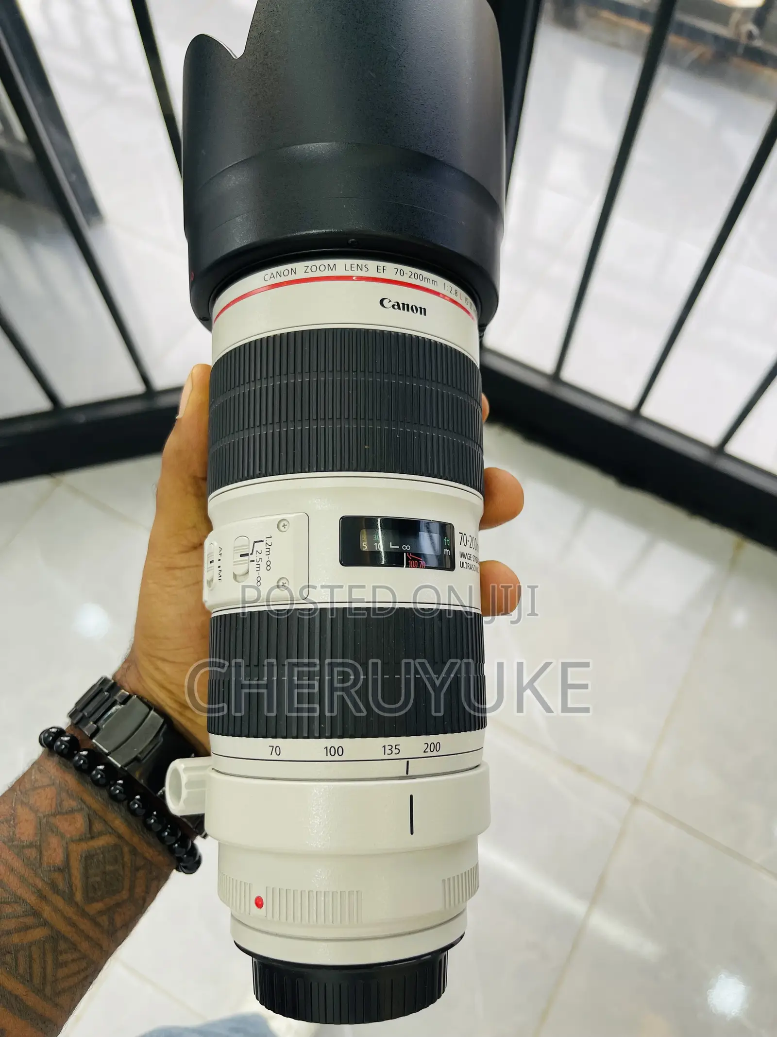 Canon Zebra Lens