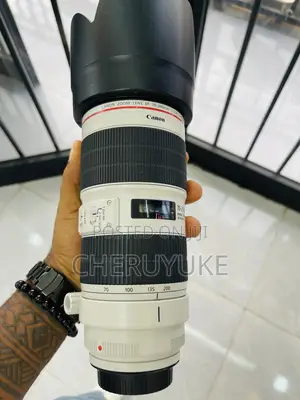 Canon Zebra Lens