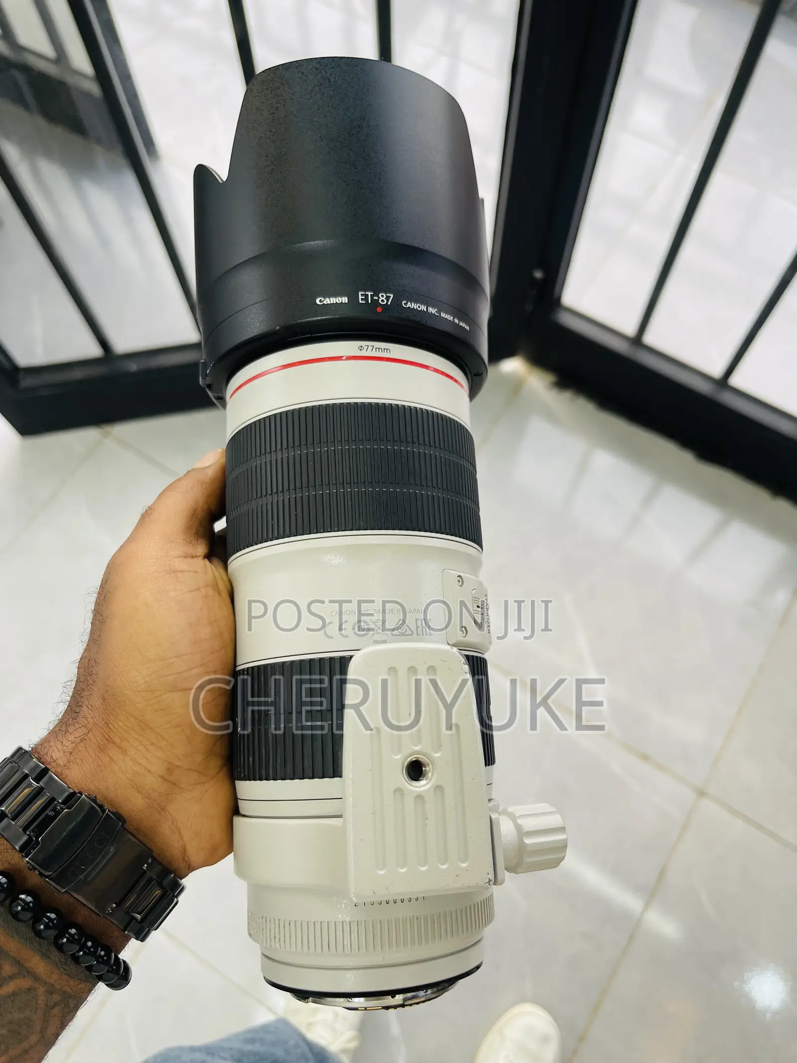 Canon Zebra Lens
