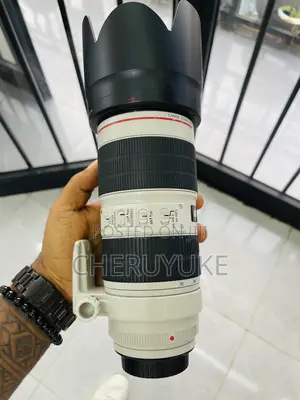Canon Zebra Lens