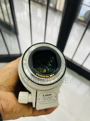 Canon Zebra Lens