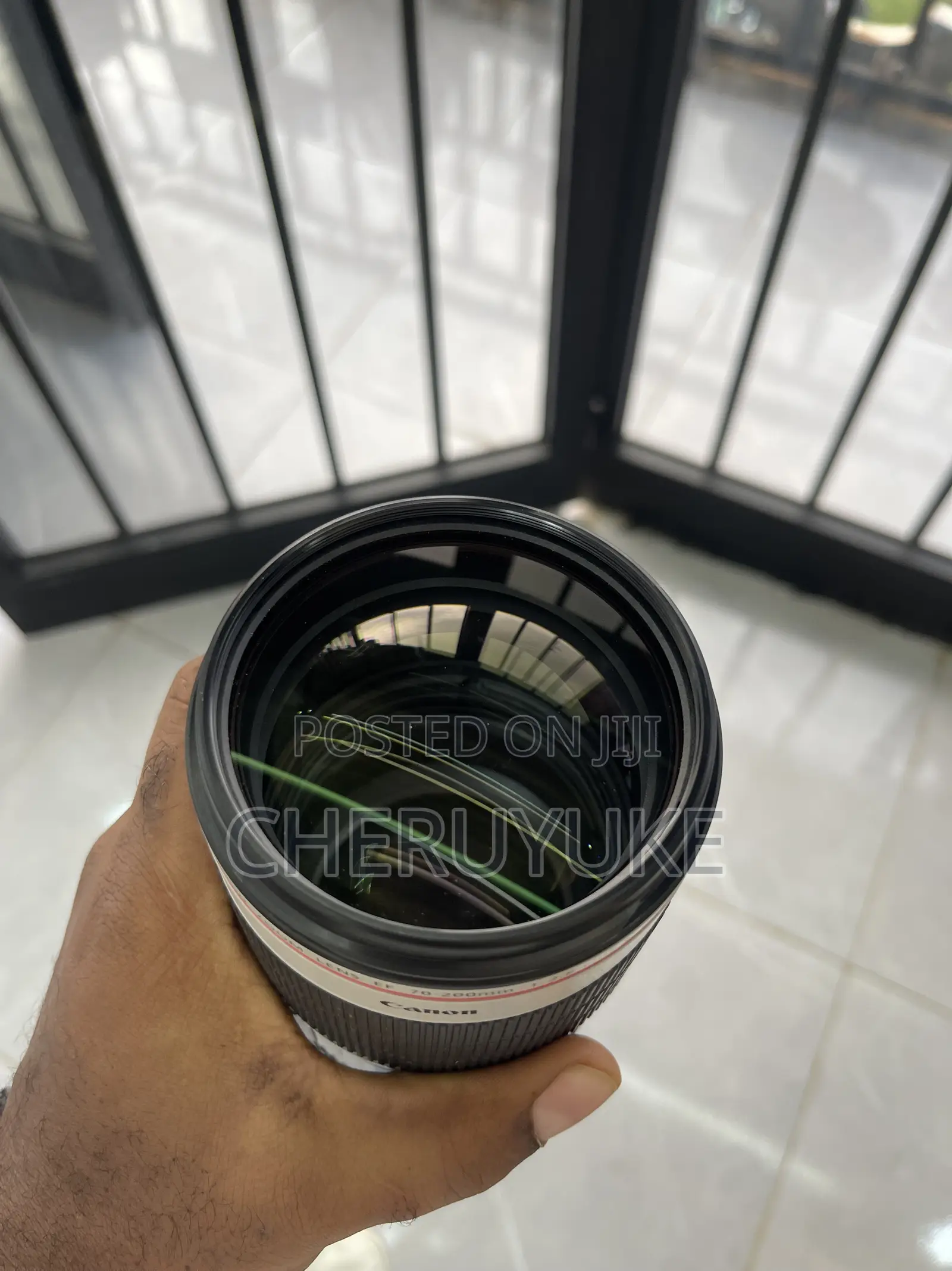 Canon Zebra Lens