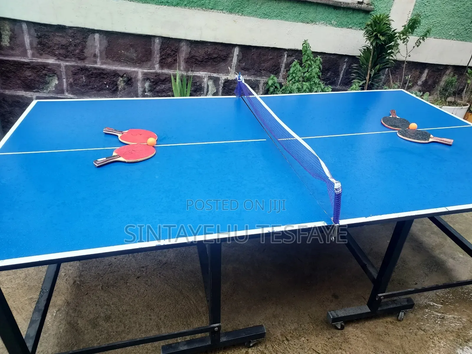Table Tennis Table, a Professional