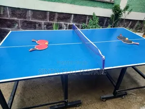 Table Tennis Table, a Professional
