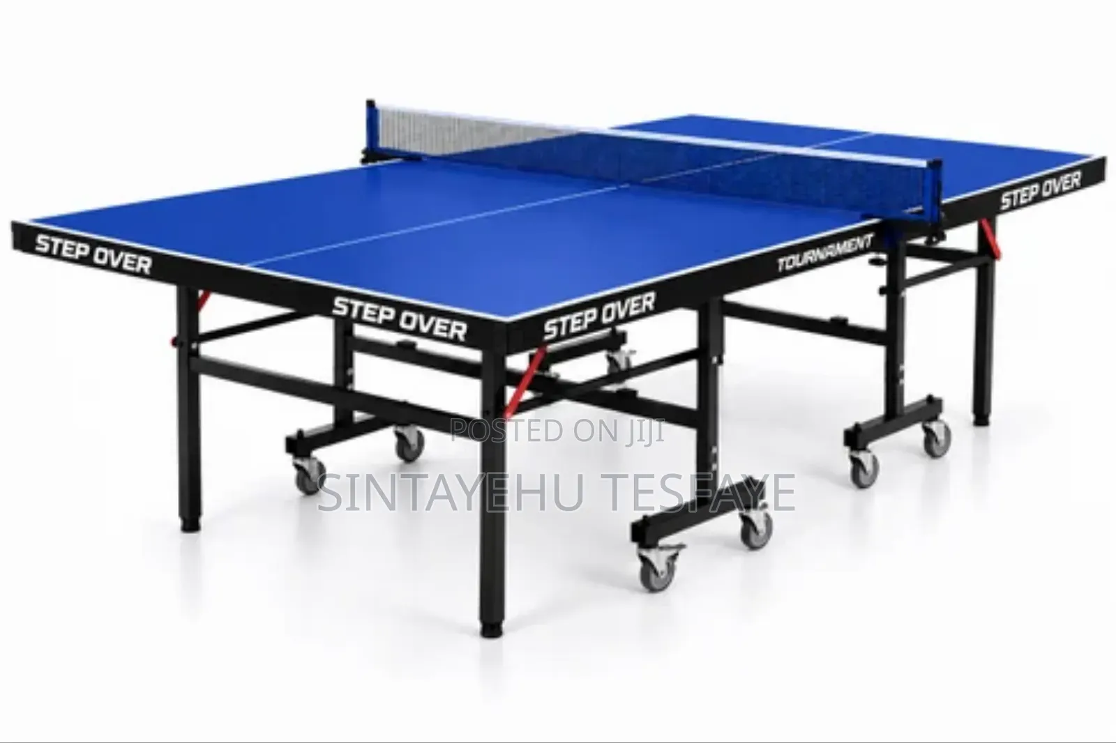 Table Tennis Table, a Professional