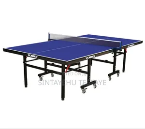 Table Tennis Table, a Professional