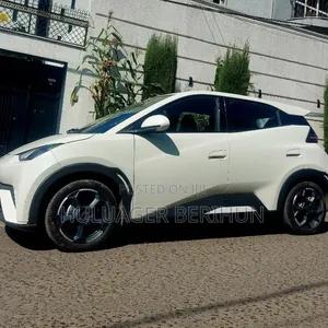 New BYD Seagull 2025 White