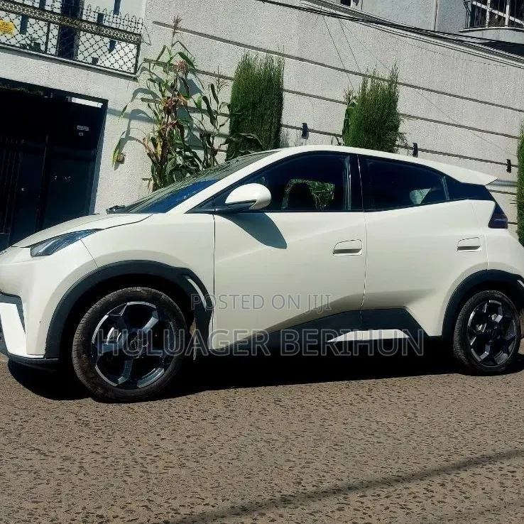 New BYD Seagull 2025 White