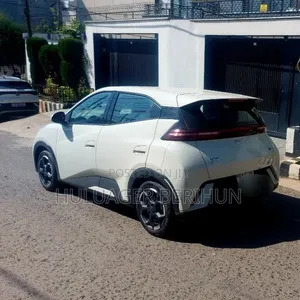 New BYD Seagull 2025 White