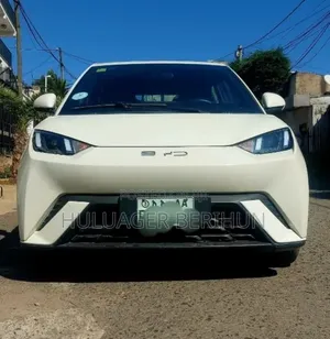 New BYD Seagull 2025 White