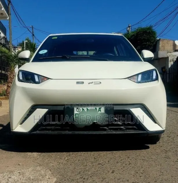 New BYD Seagull 2025 White