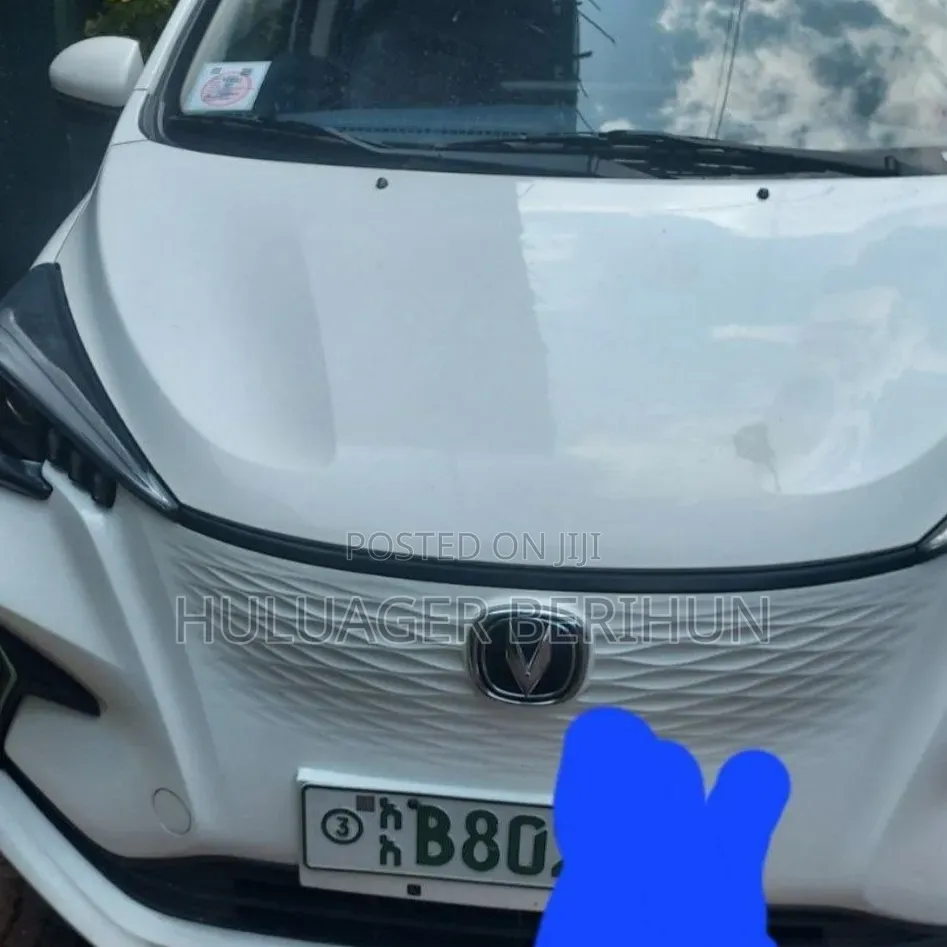 New BYD Seagull 2025 White