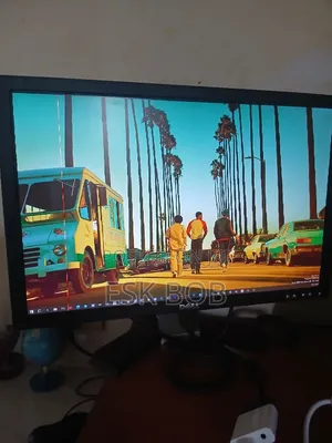 Dell 17 Inch Monitor