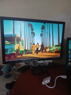 Dell 17 Inch Monitor