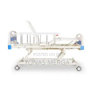 Patient Bed告囗hospital Bed=With 3 Function Hospital Bed for Patient