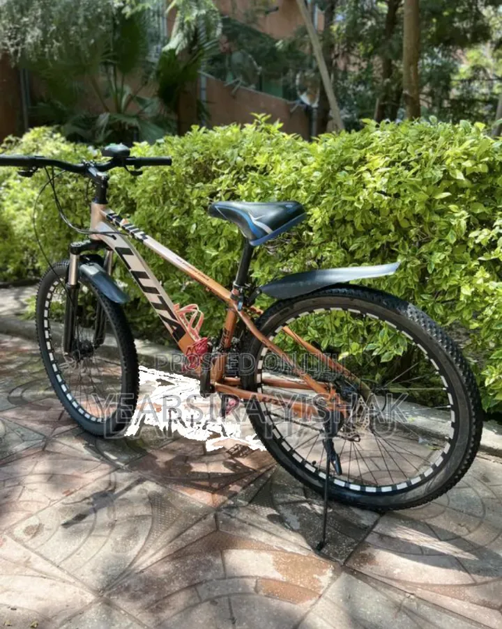 Luta Bike Bicycle