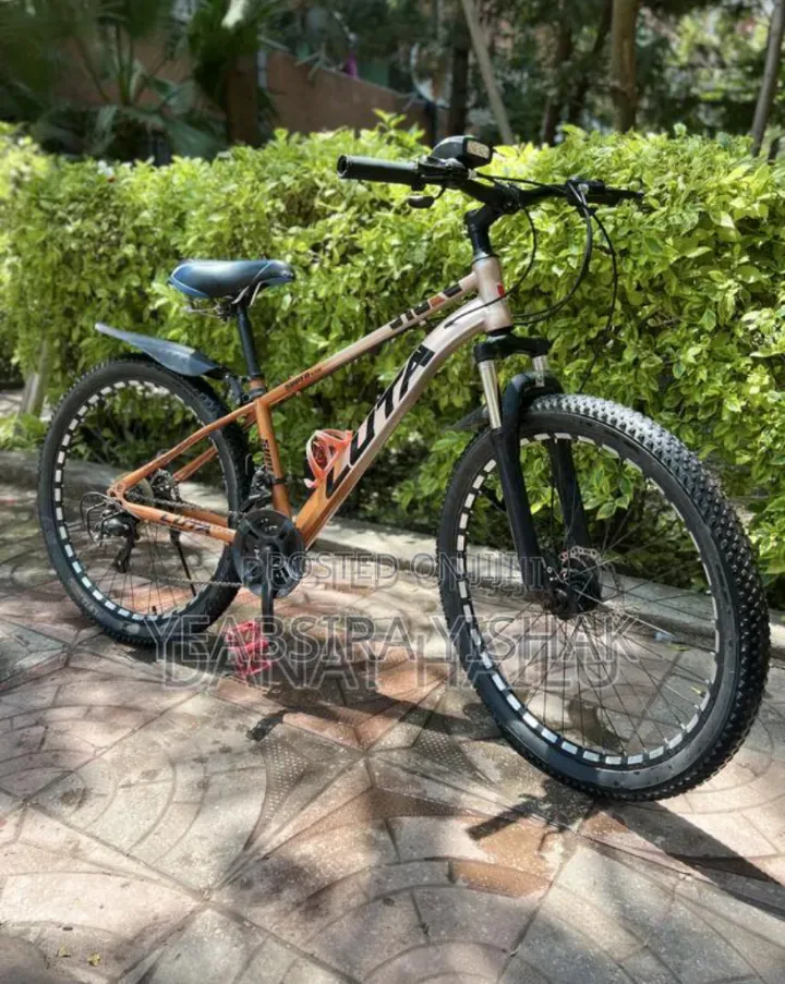 Luta Bike Bicycle