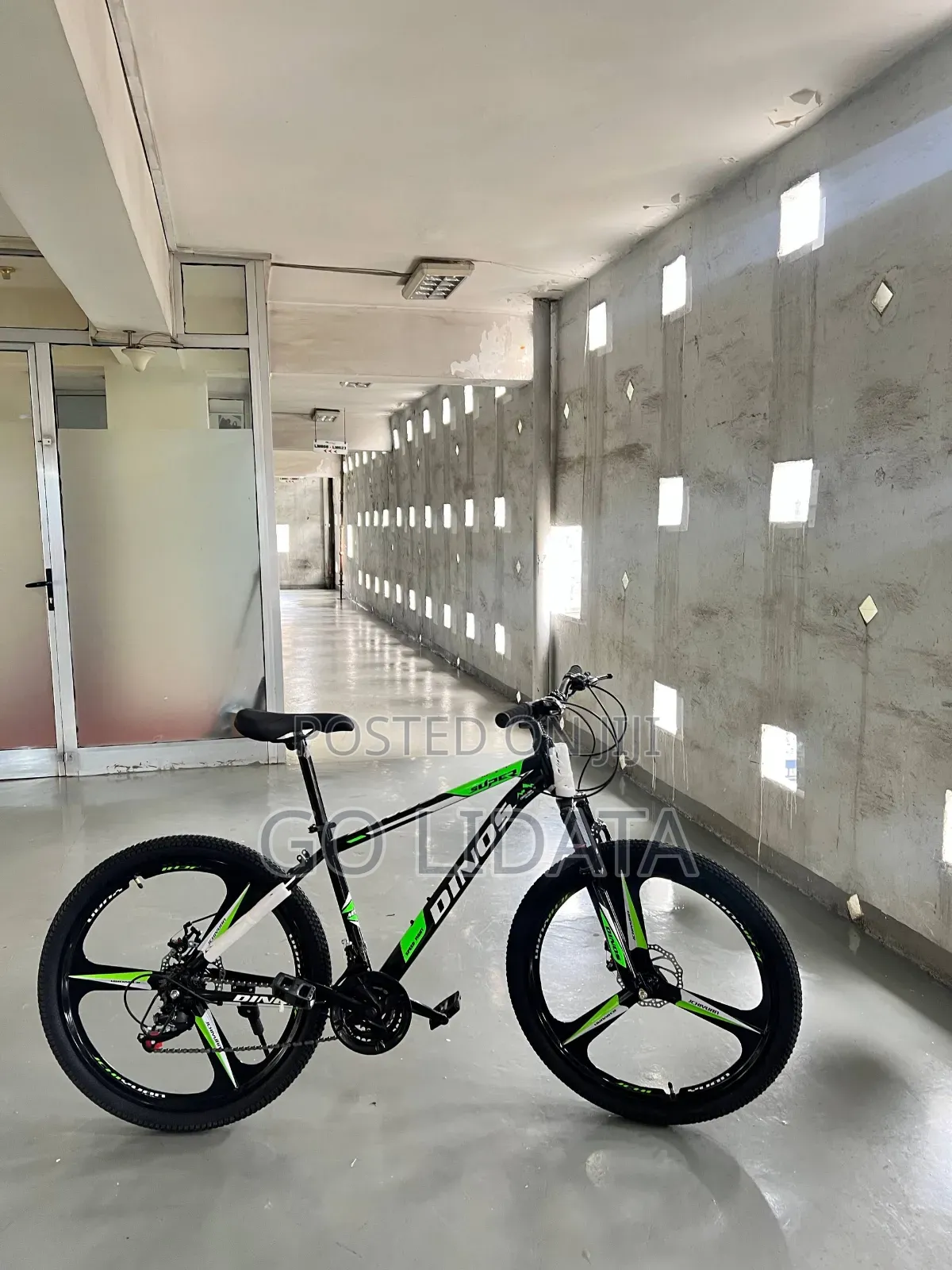 Dinos ለውጭ ጉዞ የሚሆን ሳይክል — Dinos Outdoor Riding Bike