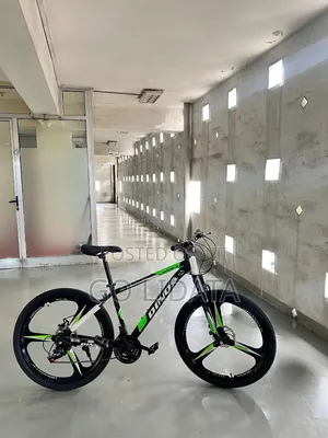 Dinos ለውጭ ጉዞ የሚሆን ሳይክል — Dinos Outdoor Riding Bike