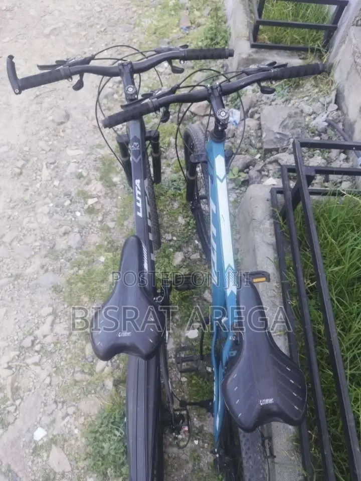 Luna Mountain Bike
