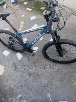 Luna Mountain Bike