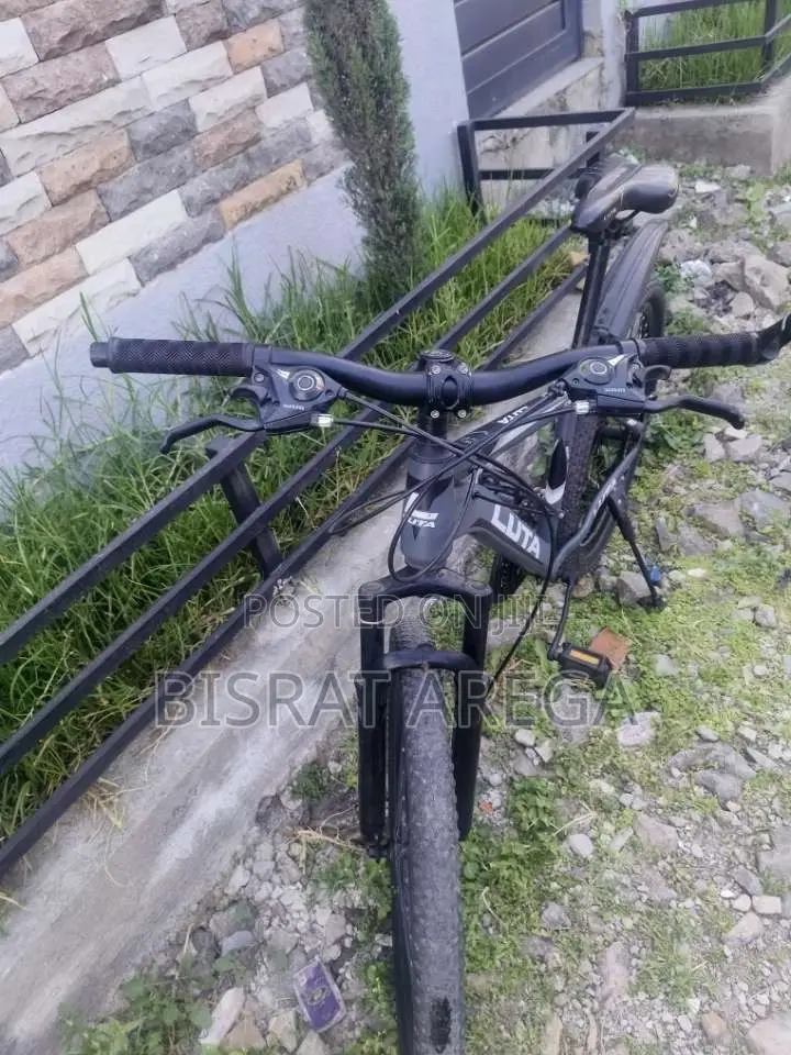 Luna Mountain Bike
