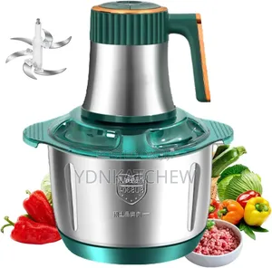 Tesnim Multifunctional Meat and Vegetables Chopper