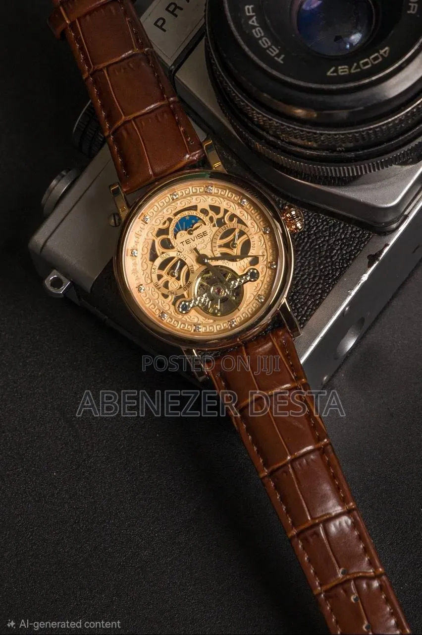 1Tevise Automatic Mechanical Skeleton Watch (Model T867F / Tevise Osca