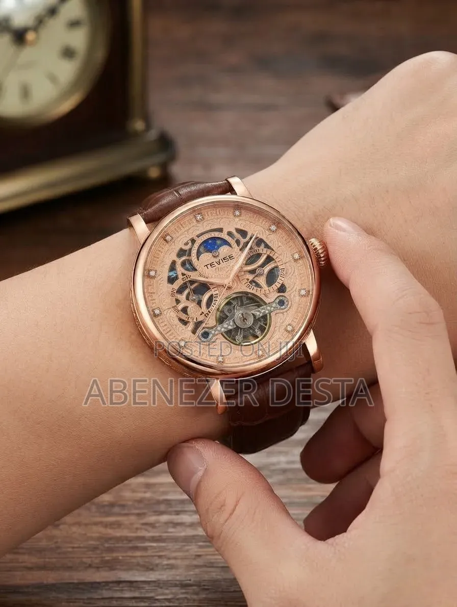 1Tevise Automatic Mechanical Skeleton Watch (Model T867F / Tevise Osca