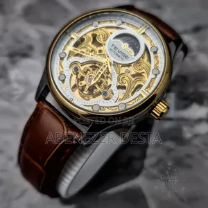 TEVISE T820D Men’s Automatic Mechanical Skeleton Watch Featuring