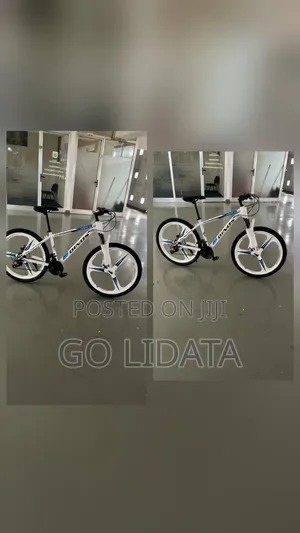 Dinos የቀን ጉዞ ቢስክሌት — Dinos Daily Riding Bicycle