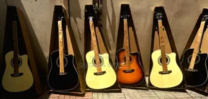 Yamaha F-6000 Electric Box Guitar