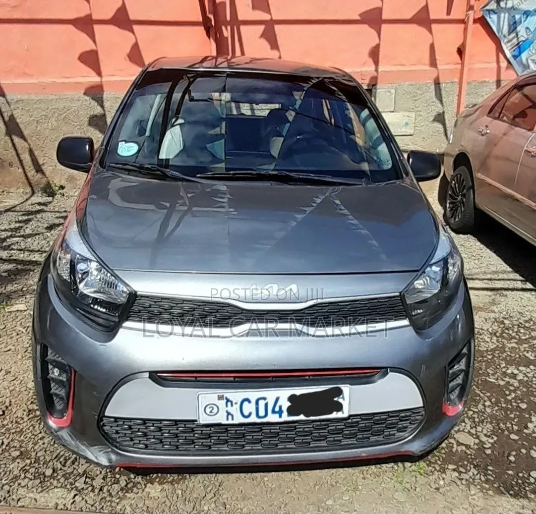 Kia Picanto 2021 Gray