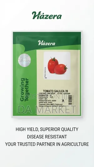 Hazera Galilea 39 Hybrid Tomato Seeds