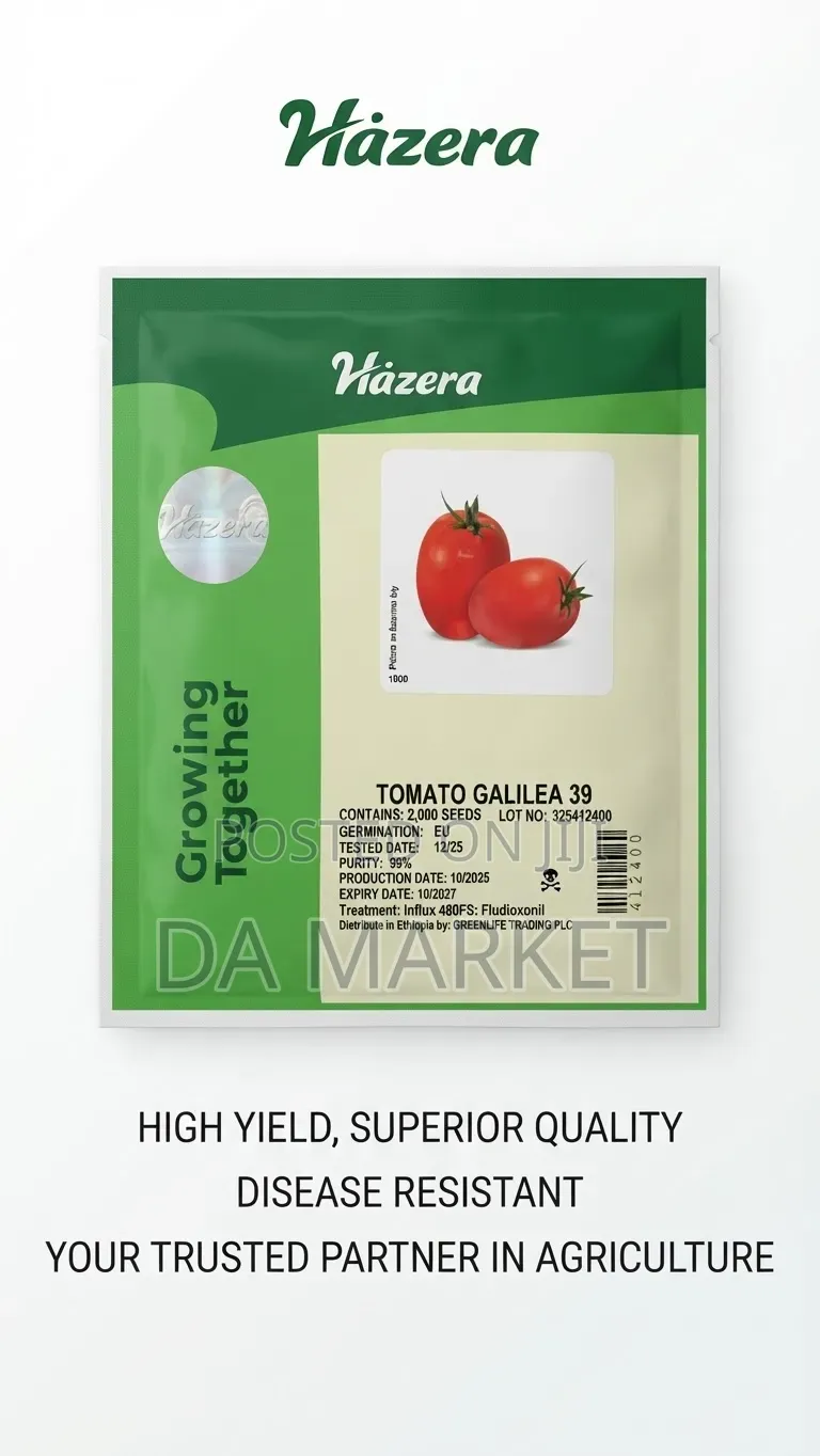 Hazera Galilea 39 Hybrid Tomato Seeds