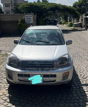 Toyota RAV4 2002 Silver