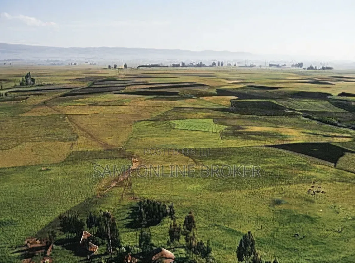 Prime Land for Sale – Summit, Addis Ababa