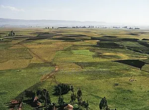 Prime Land for Sale – Summit, Addis Ababa