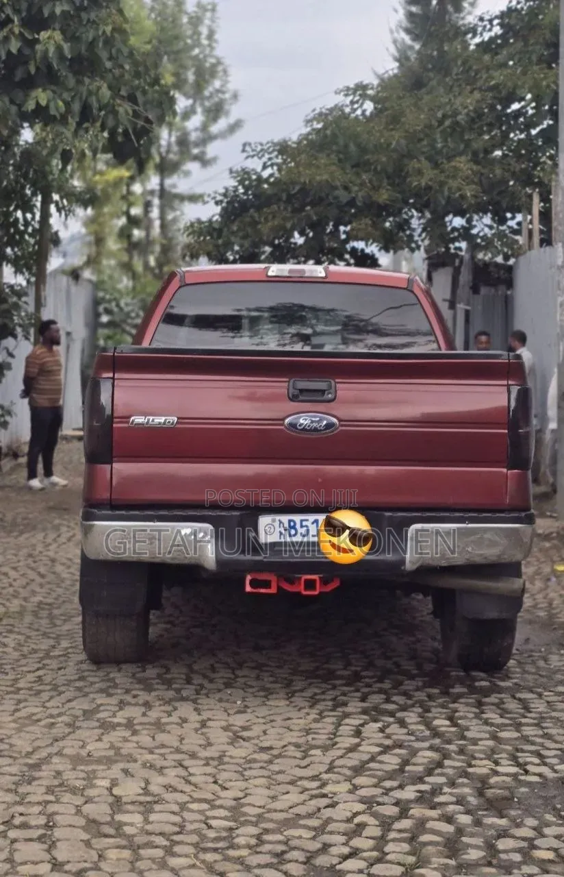 Ford F-150 2013 Burgundy
