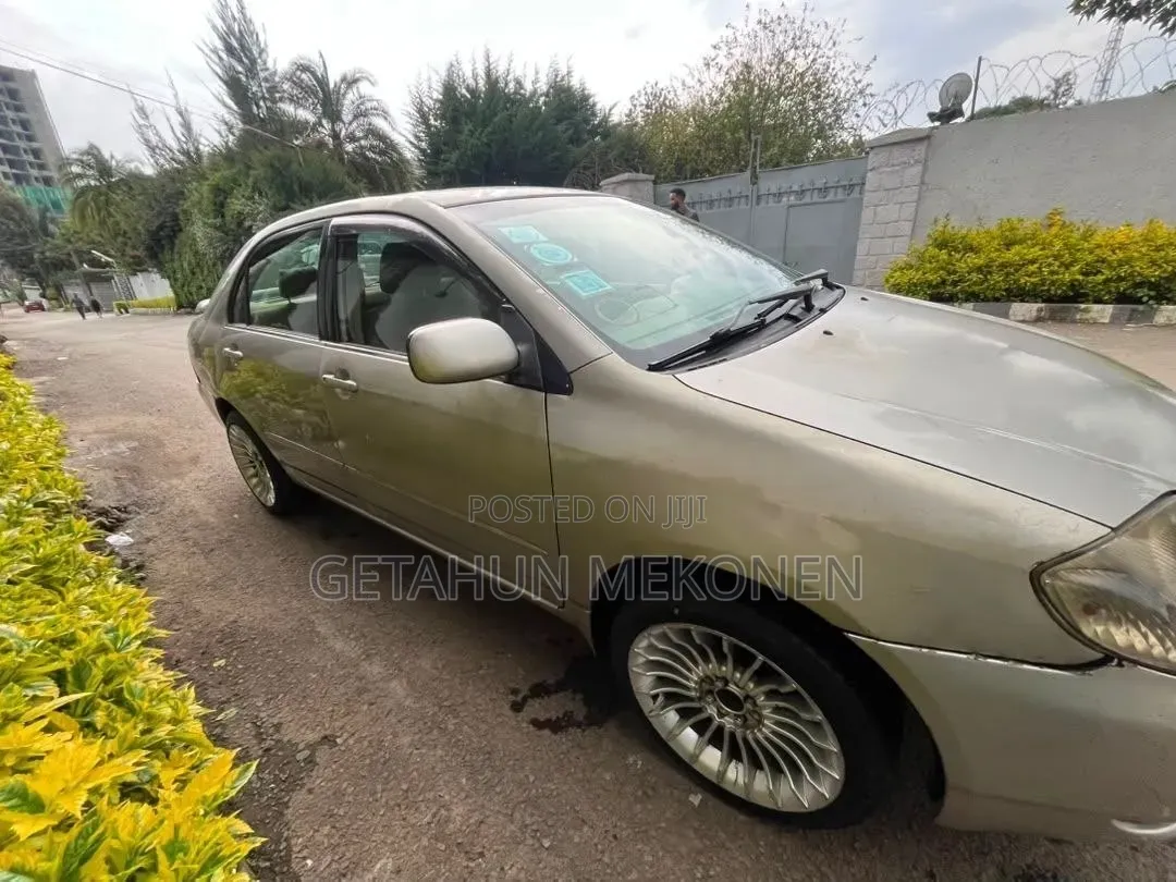 Toyota Corolla 2005 Gold