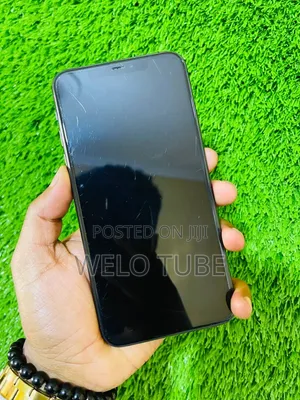 Apple iPhone 11 Pro Max 256 GB Gray