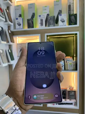 Samsung Galaxy S25 Ultra 256 GB Gray
