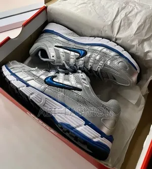 Nike P6000 "Variety Blue" Sneaker Unisex Fine