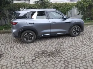 BYD Yuan Up 2024 Gray