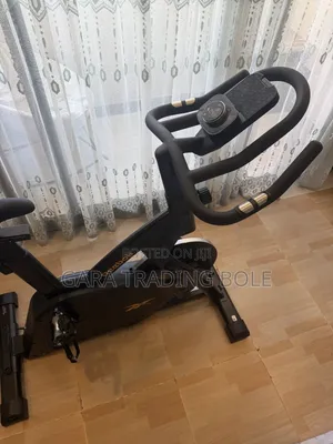 ኦሪጅናል Reebok FR30 Exercise Bike