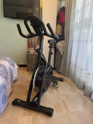 ኦሪጅናል Reebok FR30 Exercise Bike