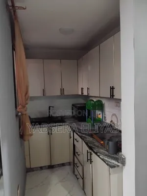 1bdrm Shared Apartment in Akaky Kaliti for rent